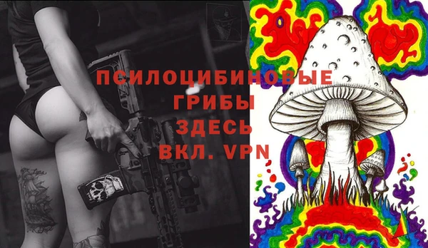 стафф Болотное