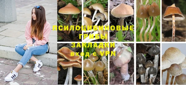 стаф Навашино