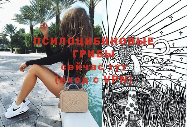 а пвп мука Надым