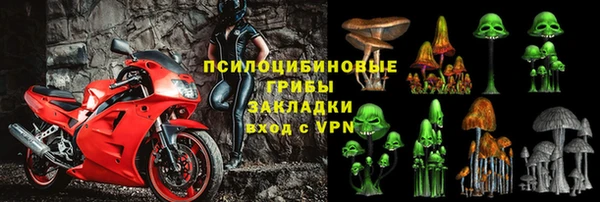 мдпв Болхов