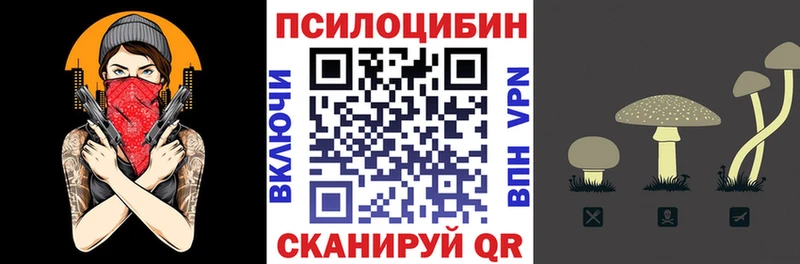 Галлюциногенные грибы ЛСД  как найти закладки  Камешково 