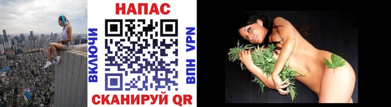 Конопля SATIVA & INDICA  мега зеркало  Камешково 