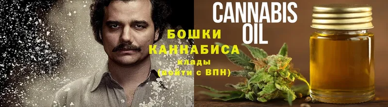 Каннабис SATIVA & INDICA  Камешково 